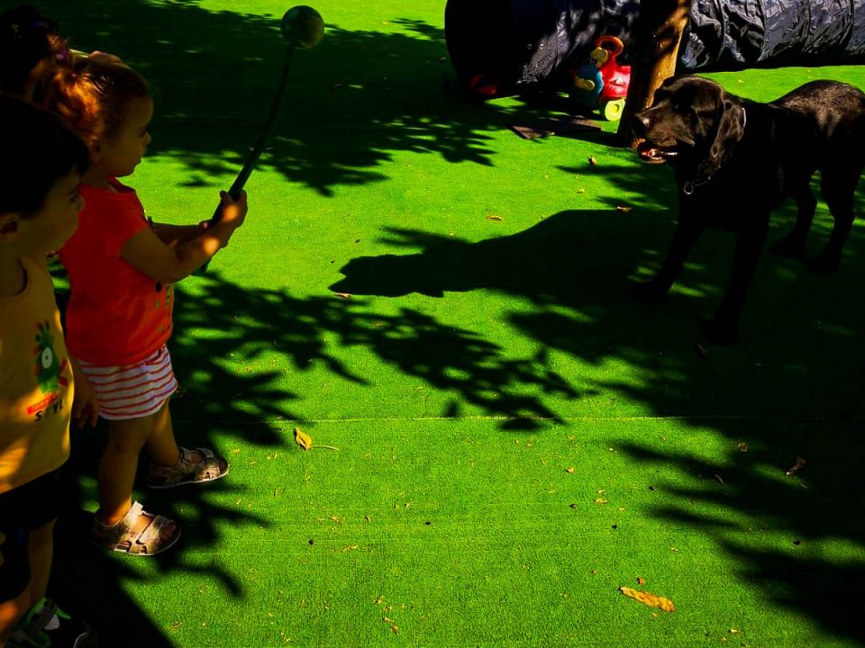 Il mio Amico a 4 Zampe