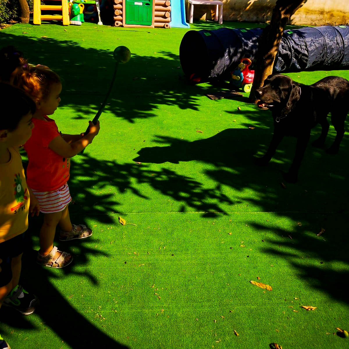 Il mio Amico a 4 Zampe